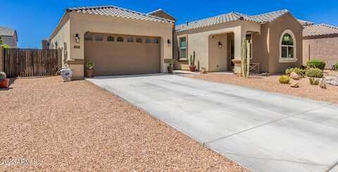 Oriole, QUEEN CREEK, AZ 85142