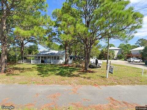 Alligator, PANACEA, FL 32346