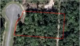 Southern Lily, YULEE, FL 32097