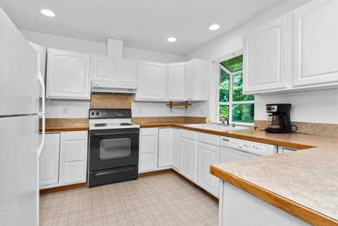 Thuja, YELM, WA 98597