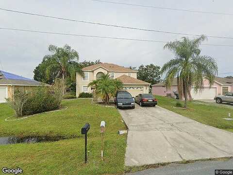 Parakeet, KISSIMMEE, FL 34759