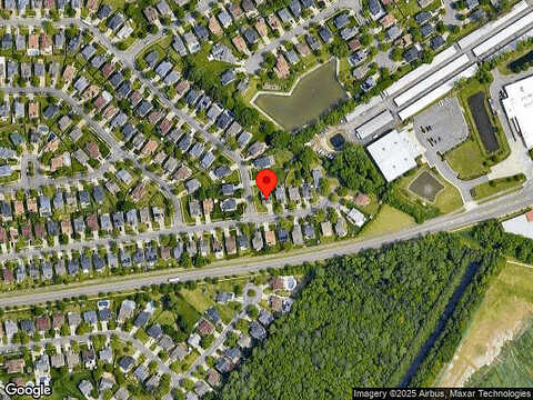 Purebred, VIRGINIA BEACH, VA 23453