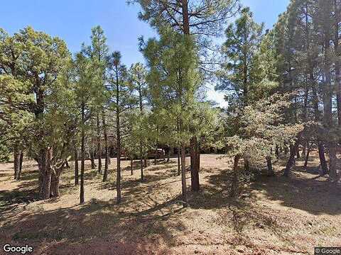 Tall Pine, SHOW LOW, AZ 85901