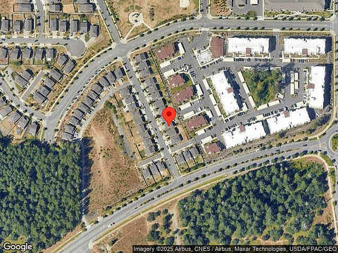 Fiddleback, LACEY, WA 98516