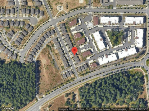 Fiddleback, LACEY, WA 98516