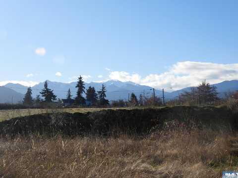 Priest, SEQUIM, WA 98382