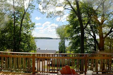 Larkspur, MARINE ON SAINT CROIX, MN 55047