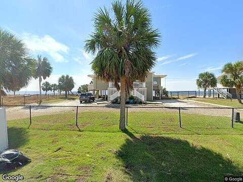 Alligator, PANACEA, FL 32346