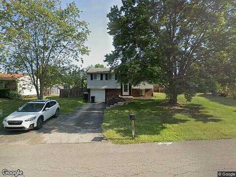 Leatherbark, CRANBERRY TOWNSHIP, PA 16066