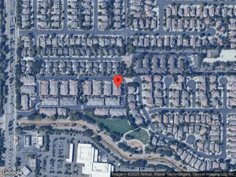 Forget Me Not, LIVERMORE, CA 94551