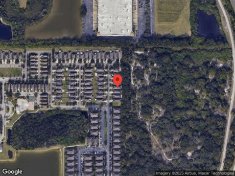 Paper Mulberry, RIVERVIEW, FL 33578
