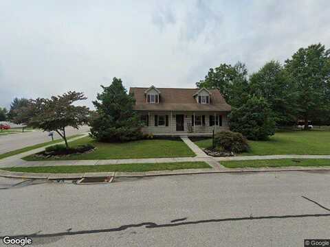 Cheetah, HANOVER, PA 17331