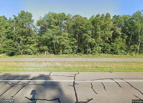 Bulrush, MERRIFIELD, MN 56465