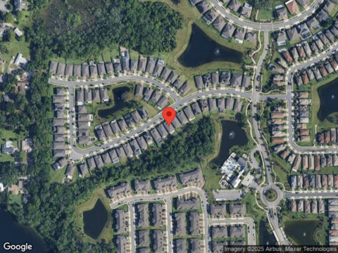 Marsh Sedge, WINTER PARK, FL 32792