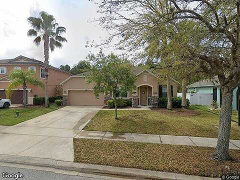 Boysenberry, DAYTONA BEACH, FL 32124