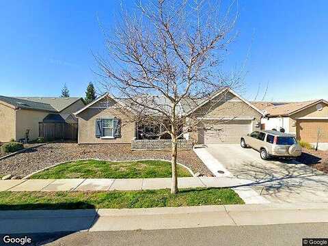 Weeping Willow, LINCOLN, CA 95648