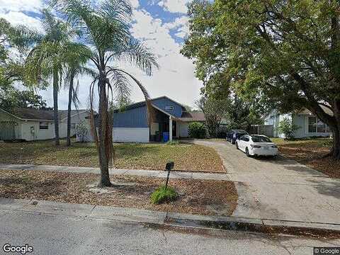 Mitchell, TAMPA, FL 33634
