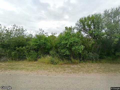 Quail, DEL RIO, TX 78840