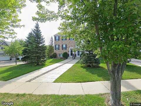 Liatris, EDEN PRAIRIE, MN 55347