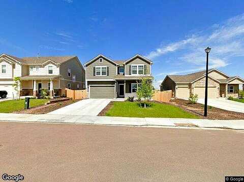 Yellowtail, COLORADO SPRINGS, CO 80908