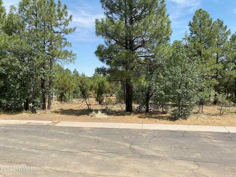 Black Bear, SHOW LOW, AZ 85901
