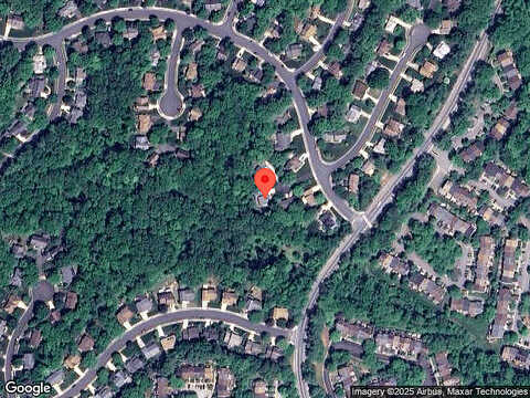 Belleflower, SPRINGFIELD, VA 22152