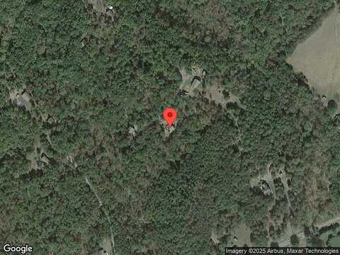 Hickory, MOUNT JACKSON, VA 22842