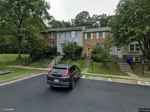 Chicory, ALEXANDRIA, VA 22310