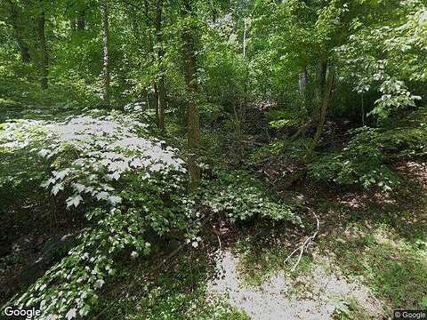 Thaddeus, BENTONVILLE, VA 22610