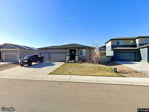 Buckthorn, WELLINGTON, CO 80549