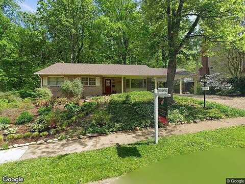 Shelley, ANNANDALE, VA 22003