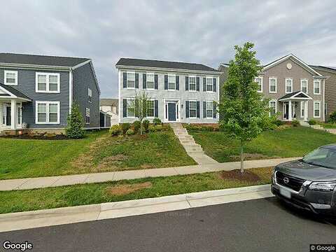 Hosta, STAFFORD, VA 22554