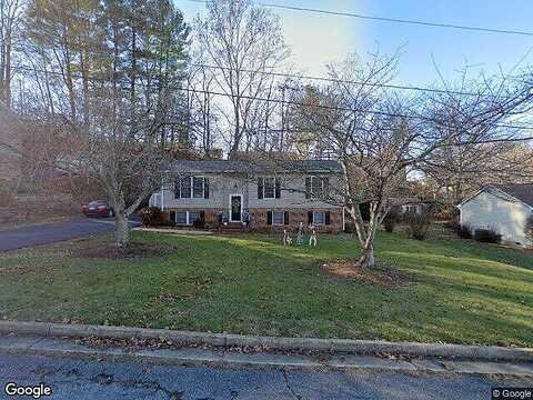 Larch, BUENA VISTA, VA 24416