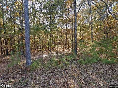 Bruce, DOUGLASVILLE, GA 30134