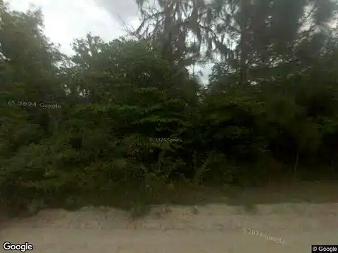 Linden, JESUP, GA 31545