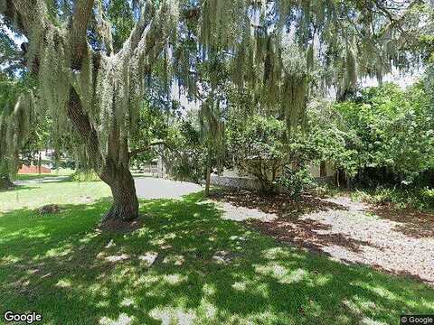 Lime Tree, EDGEWATER, FL 32141
