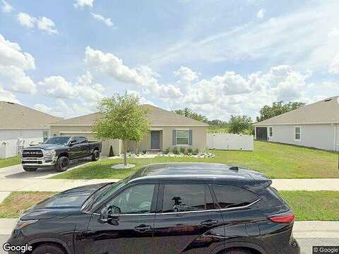 White Tail, MASCOTTE, FL 34753