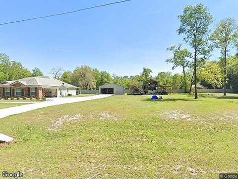 Armadillo, MIDDLEBURG, FL 32068