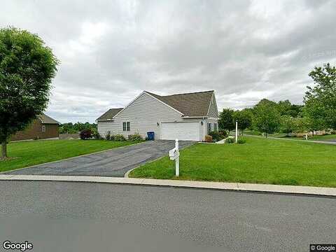 Rosebush, WOMELSDORF, PA 19567
