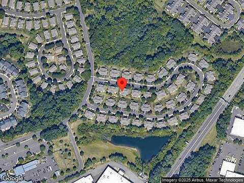 Black Eyed Susan, LANGHORNE, PA 19047