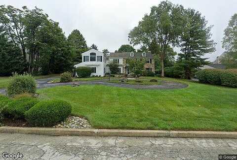 Sugar Maple, NEWTOWN SQUARE, PA 19073