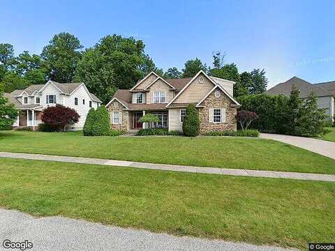 Fossilwood, ERIE, PA 16506
