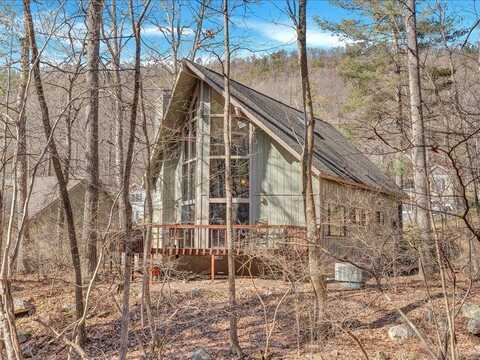 Trevino, MC GAHEYSVILLE, VA 22840
