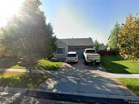 Nighthawk, BRIGHTON, CO 80601