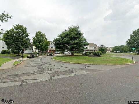 Lion, ROYERSFORD, PA 19468