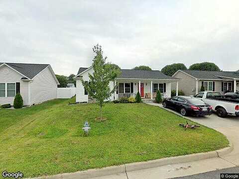 Dylan, BRIDGEWATER, VA 22812