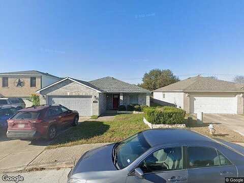 Torch Lily, SAN ANTONIO, TX 78260