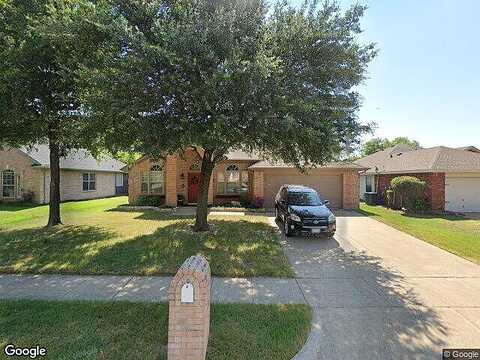 Blue Holly, CORINTH, TX 76210