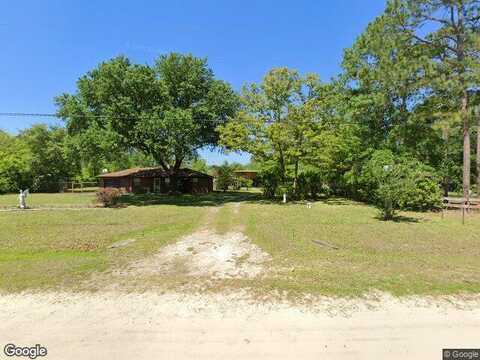 Mink, MIDDLEBURG, FL 32068