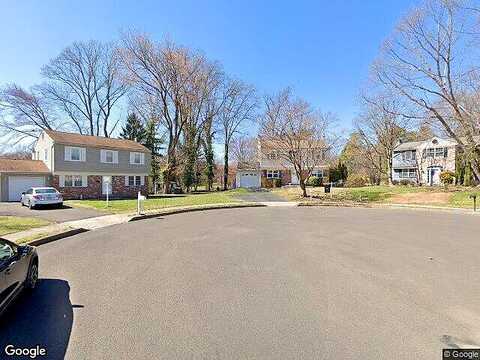 Pine Tree, HATBORO, PA 19040